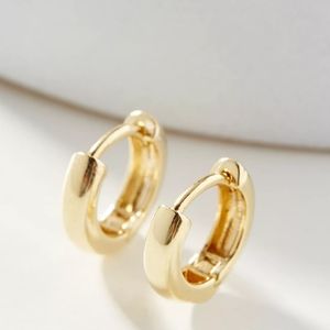 Anthropology Huggie Hoop Earrings -- New!